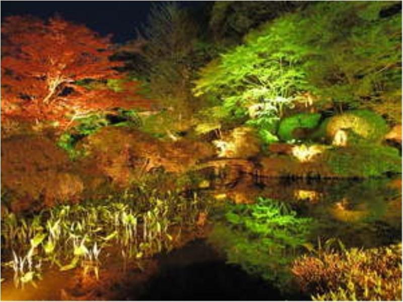 Kazuno Ryumontei Chiba Ryokan מראה חיצוני תמונה